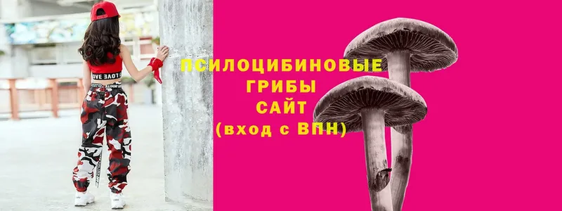 Галлюциногенные грибы мицелий  Минусинск 